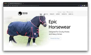 The big horse shop homepage design