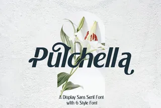 Pulchella typeface