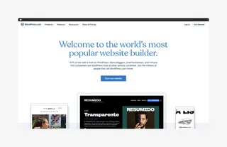 Wordpress homepage