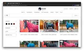 The big horse shop horse listing page