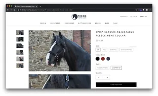 The big horse shop product detail page