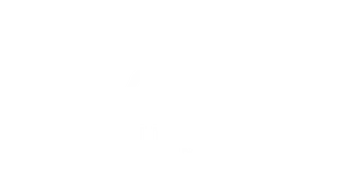 Alliance Investments